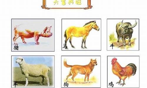 六畜打一生肖是什么_六畜打一数字