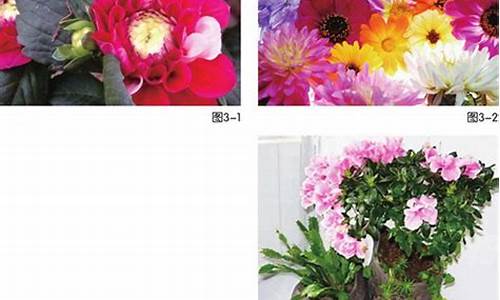 奇花异草造句一年级上册简单_奇花异草仿写词语5个